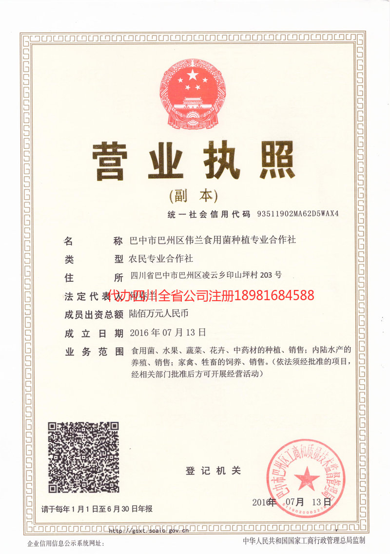 宁德宁德伟兰食用菌种植专业合作社